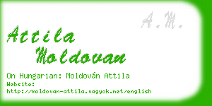 attila moldovan business card