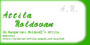 attila moldovan business card